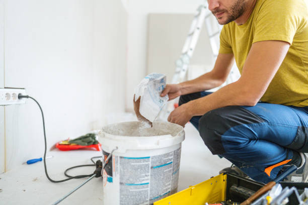 Best Black Mold Removal  in Edina, MN