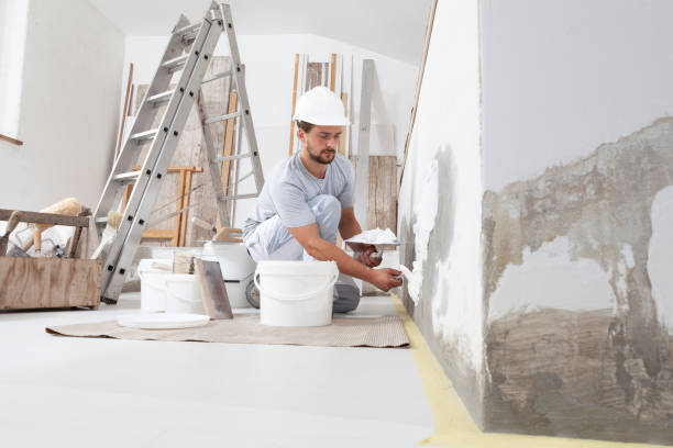Best Water Damage & Mold Remediation  in Edina, MN