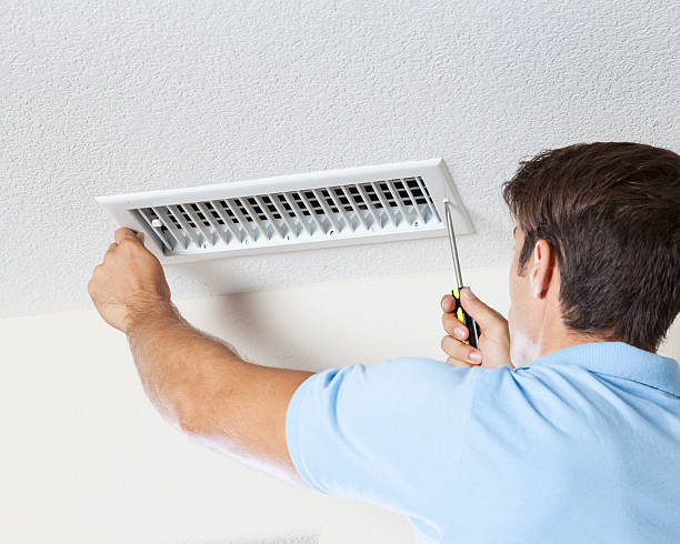 Best Asbestos and Lead Testing During Mold Inspection  in Edina, MN